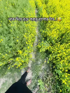 Taw Alhamdulillah 😊🫀