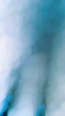 Don #trandin #virul #foryou #travel #music #surkhetmuser #fpy #fpyyyyyyyyyyyyyyyyyyyyyy