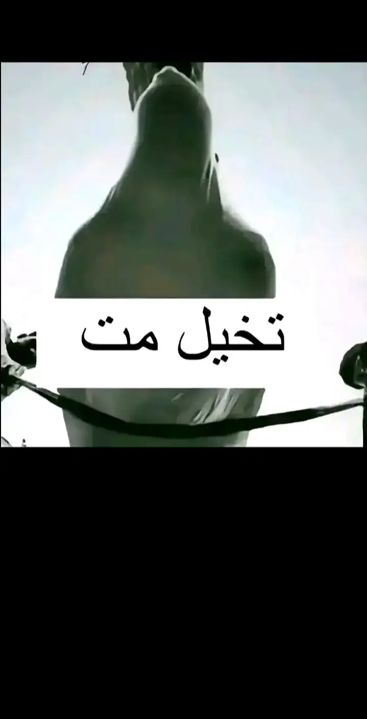 تلاوة_خاشعة قران_شاشة_سوداء تلاوات_قرآنية القران_الكريم عمر_بن_ضياء_الدين  foryou#dencewithpubgmi #fyp#