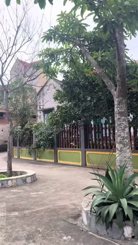 Bình yên quá #quehuong #binhyen 