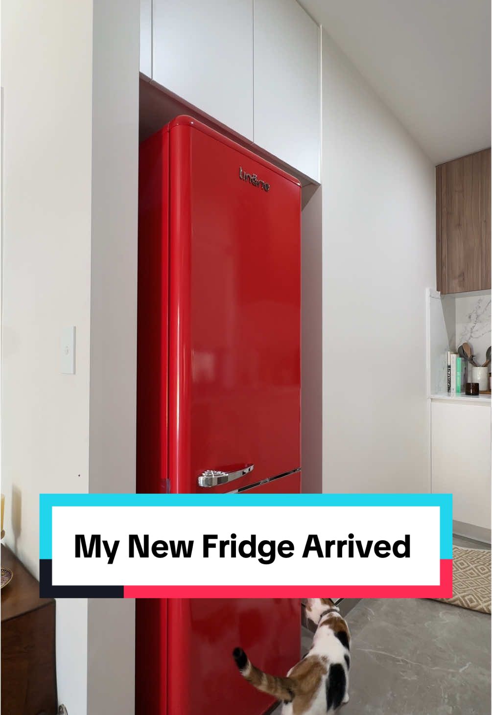 yea i got a bright red retro fridge because why the heck not?? The brand is Linarie Appliances #newfridge #retrofridge 
