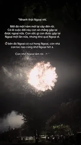 Gần 14 năm rồi Ngoại nhỉ. Con nhớ Ngoại 🥰 #xuhuong #nhongoai❤️ #buon 