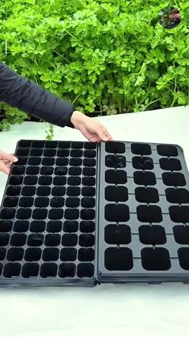 Good!🥬🥬#seedingtray #pottery #penanaman #bibit #peternakan #gift #goodthing #goodthings #foryou #tiktokshop #fyp 