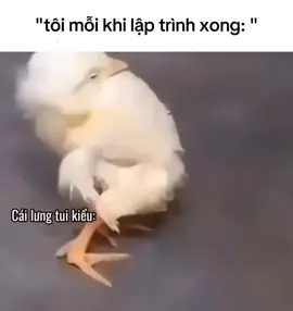 cái lưng tôi =)) #xuhuong #laptrinh #code #tiktok #CapCut #bug #edit #xhuong #Meme #fypシ #xh #IT 