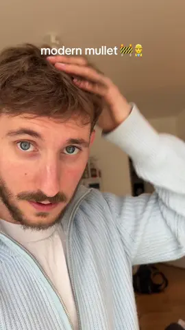 Modern Mullet Loading 🔋