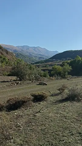 #sevgi #huzur #doga #dersim #❤️❤️❤️ #yaxızırtuesta #✌️✌️ #✌️#🙏🙏🙏 #capcut_edit #f #dog 