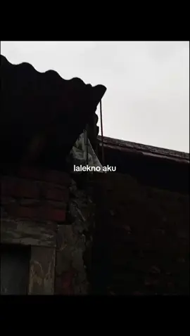 semruwet #liriklagu #liriklagujawa #galau #fyp #foryou #masukberanda #trending #dejavu #sadvibes🥀 