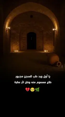 السلام عليكَ يا سيدي ومـولاي 💔#ستوريات#اكسبلور  #استشهاد_موسى_الكاظم #تصاميمي♥️❕ 