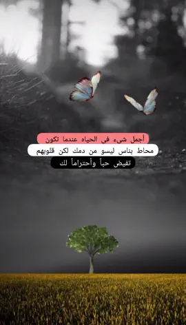 #عبارات_عن_الحياة_عبارت_جميلة🖤 #أقتباسات #اكسبلور 