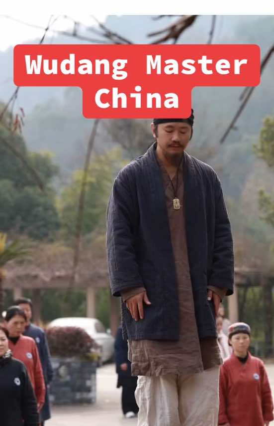 Master Wudang Tai Chi Wandering Dragon Skill full #china #китай #chinatiktok #rek #китайскийтиктокдоуин #боевоеискусство #taichi #wudang 