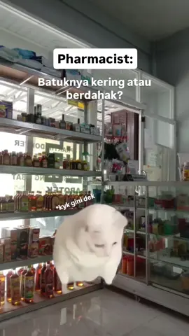 hayoo siapa yang suka kya gini😭 #apotek #apoteker #justforfun #xbox #apotekerindonesia #apotekkautsarlandoh #rembang #rembang24jam #rembanghits #rembangstory 
