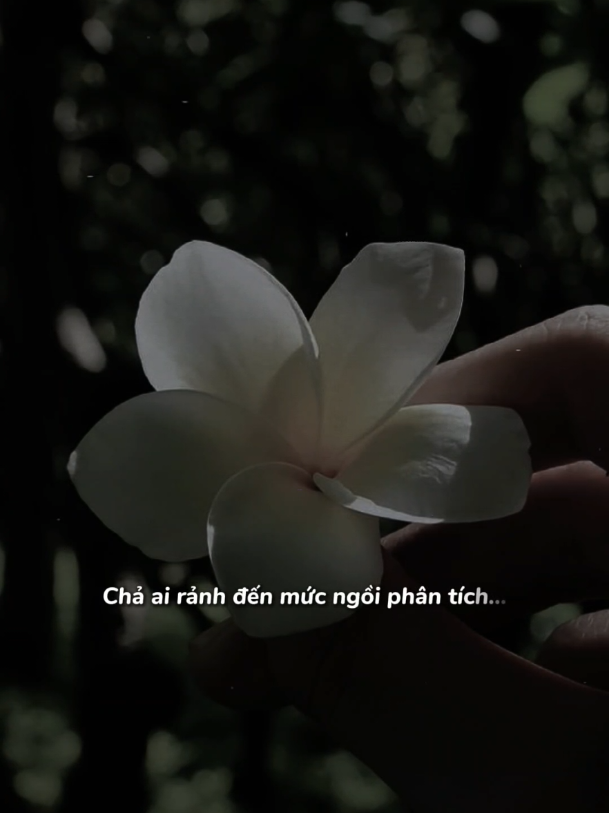 Tôi đã từng sai, sai rất nhiều #nhachaymoingay #tamtrang #trambuon12 #nghelasuy12 #xuhuong2024 