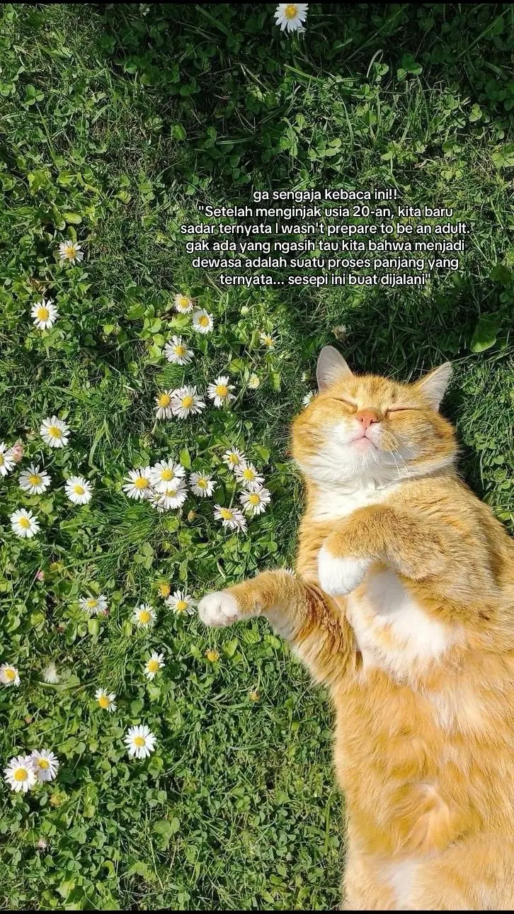 #fyp #motivation #4u 