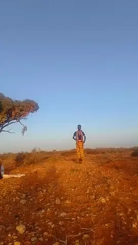 #baadiye#xds #fouryourpage #CapCut #jaceyl💔🥺💊 #somalitiktok #fypp #baxdo_galgaduud_somalia 