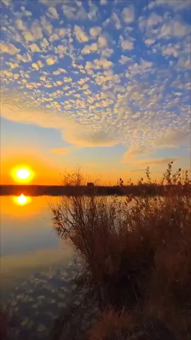 ما گدرو علي سبو ابوي المات.. 💔🥀#قتباسات#تصويري📷 #عباراتكم  #الفديو_موجود_بقناتي_تلكرام_بلبايو🦋💘 