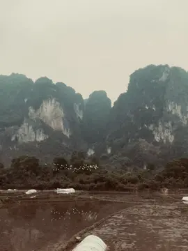 Minh gap nhau khi mua hoa no nhe...