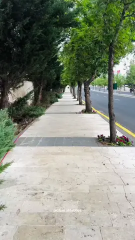 #عمان #حدائق_الحسين #عمان_الاردن🇯🇴🤍 #الطبيعة #جمال_الطبيعة #الطبيعه_اجمل_شي_للراحه_النفسيه #الاردن #اجواء_الشتاء #تصويري #الجو_جميل #تصويري📷 #jordan #amman #fypシ゚ #explore #خلدا #دابوق #شارع_الحجاز 