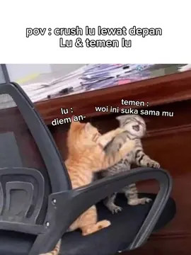 POV #xyzbca #masukberandafyp #fyppppppppppppppppppppppp #crush #kucingmeme #pov 
