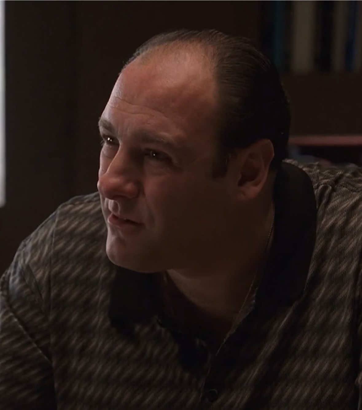 ͏  #foryou #foryoupage #thesopranos #tonysoprano #se7en #bradpitt 