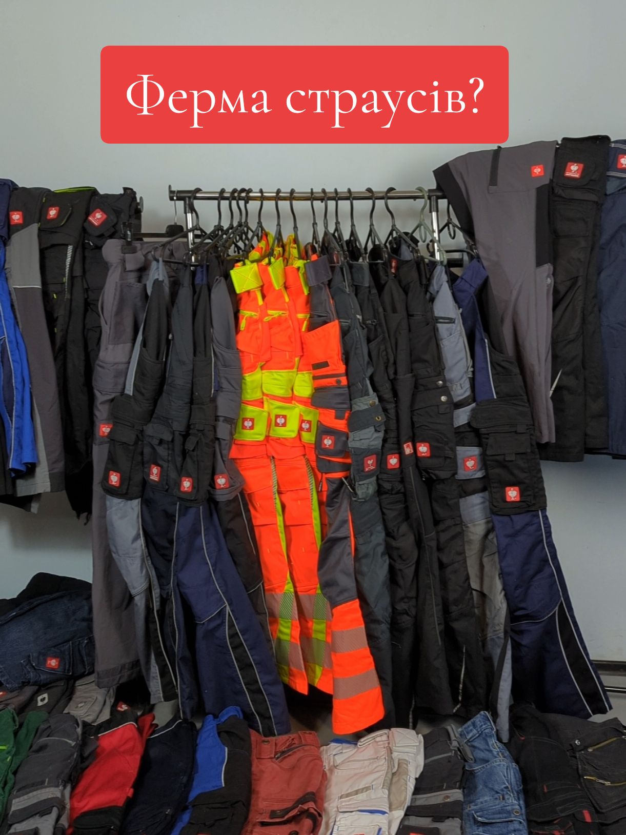 Планую відкрити страусину ферму. Які підводні камені? #engelbertstrauss #робочийодяг #спецодяг #будівництво