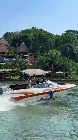 Our Boats Glide Smoothly, SAFELY, and Swiftly across Lake Victoria,  Ensuring a Reliable and Unforgettable Experience.  #divineresortug  #beautifulresortview🌴😎  #DestinationOfLove♥️  #BeautifulPlaces  #