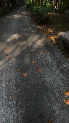 con tim anh mang bao nho thuong..!#fyp #nhoem 