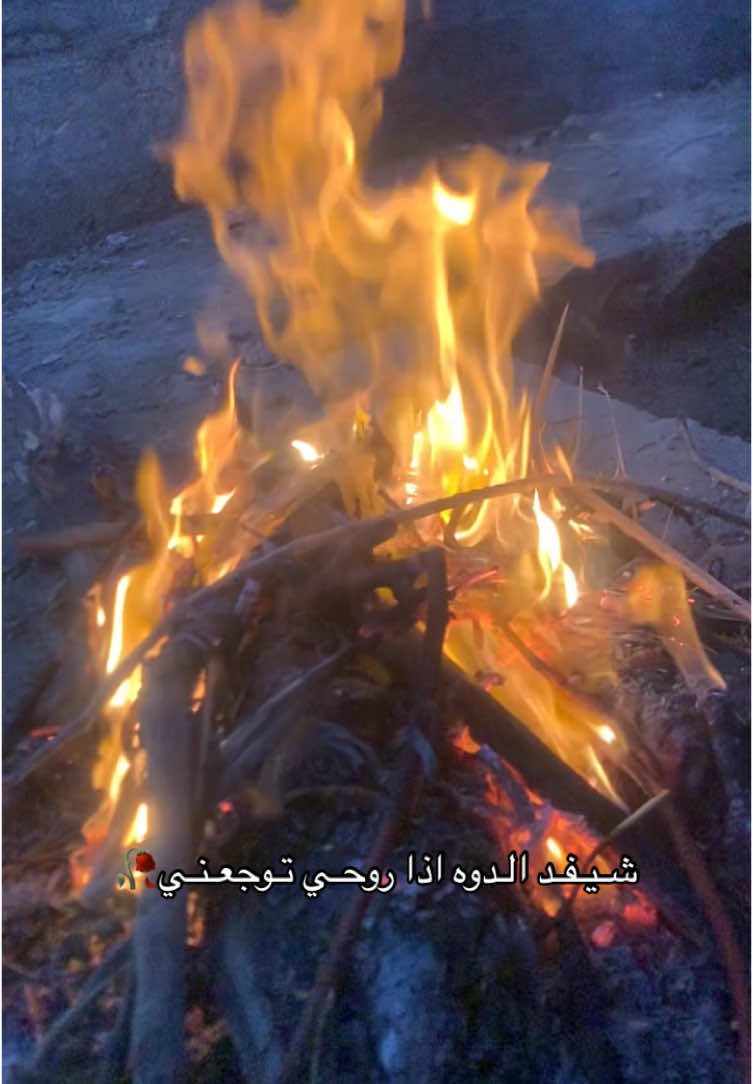 #نزل_اخر_شي_نسخته🥀💔 #تصميم_فيديوهات🎶🎤🎬 #الشعب_الصيني_ماله_حل😂😂 