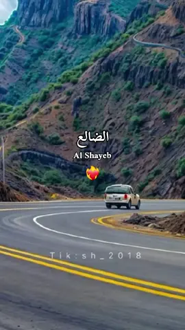 #yyyyyyyyyyyyyyyyyy الشعيبي