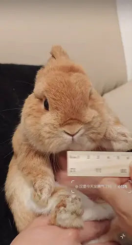 #fyp_viral_tiktok #fyp_viral_tiktok #fyp #trending 