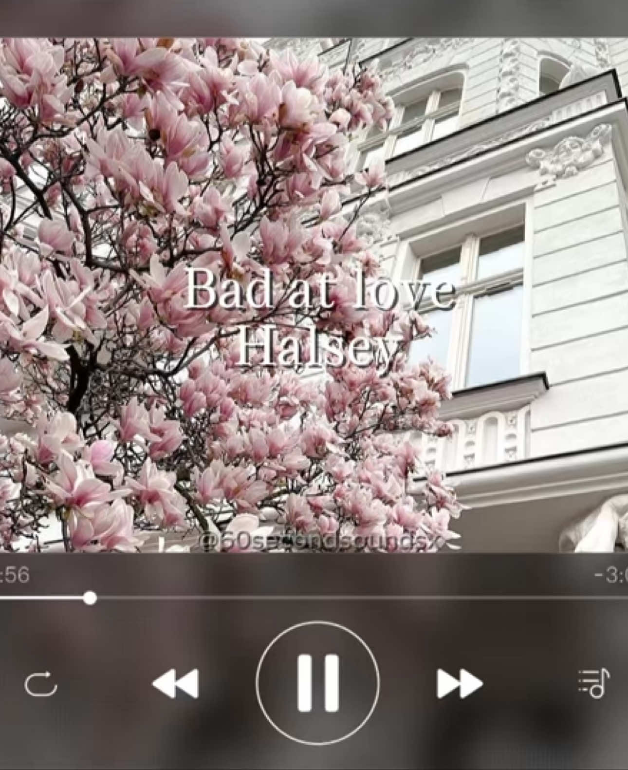 Surprise🥳 I’ve got many videos edited for you guys, please let me know in the comments which songs you’d like to hear!❤️ #fyp #fypシ #foryou #foryoupage #viral #trend #sound #audio #sounds #60seconds #60secondsounds #60secondsoundsx #badatlove #halsey 