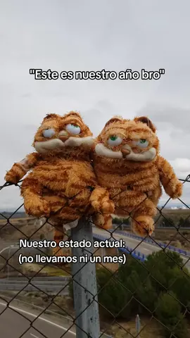 Consigue tu peluche del gato García en el link de la bio #garfield #mantecado #peluche #gato 