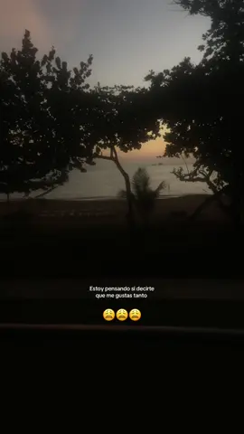 #frasesdeamor #frasesparadedicar #frases #cuentaparadedicar♡ #fypppppppppppppp #paradedicar #paradedicar🙈❤️🙈  #dedicarvideos #dedicar #indirectasmuydirectas #indirectas 