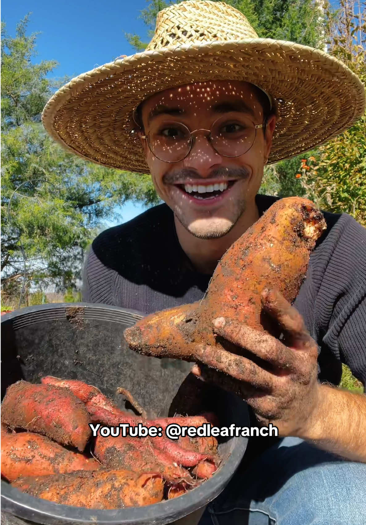Sharing my favorite content to brighten up your feed.  The time I have birth to sweet potatoes 🍠 ✨ #garden #harvest #abundance
