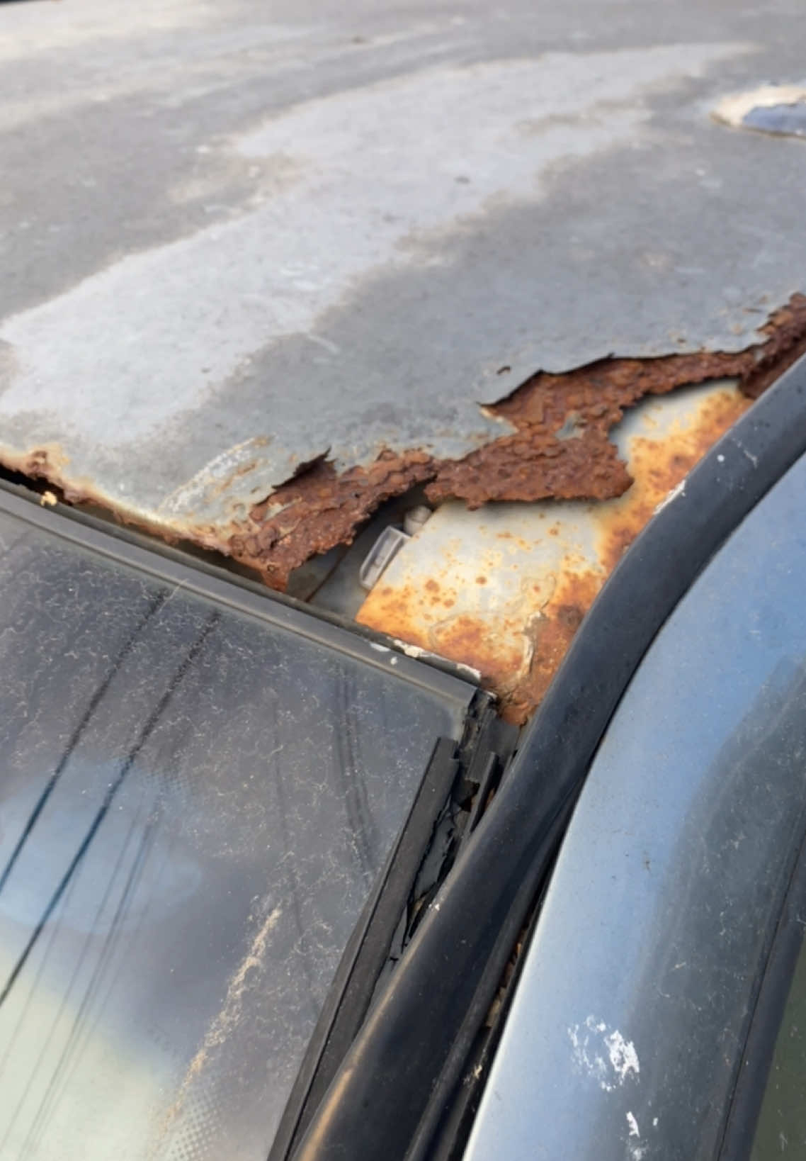 #tienedetalle #gol #vwgol #picado #joyanuncataxi #argentina #viral #tiktok 