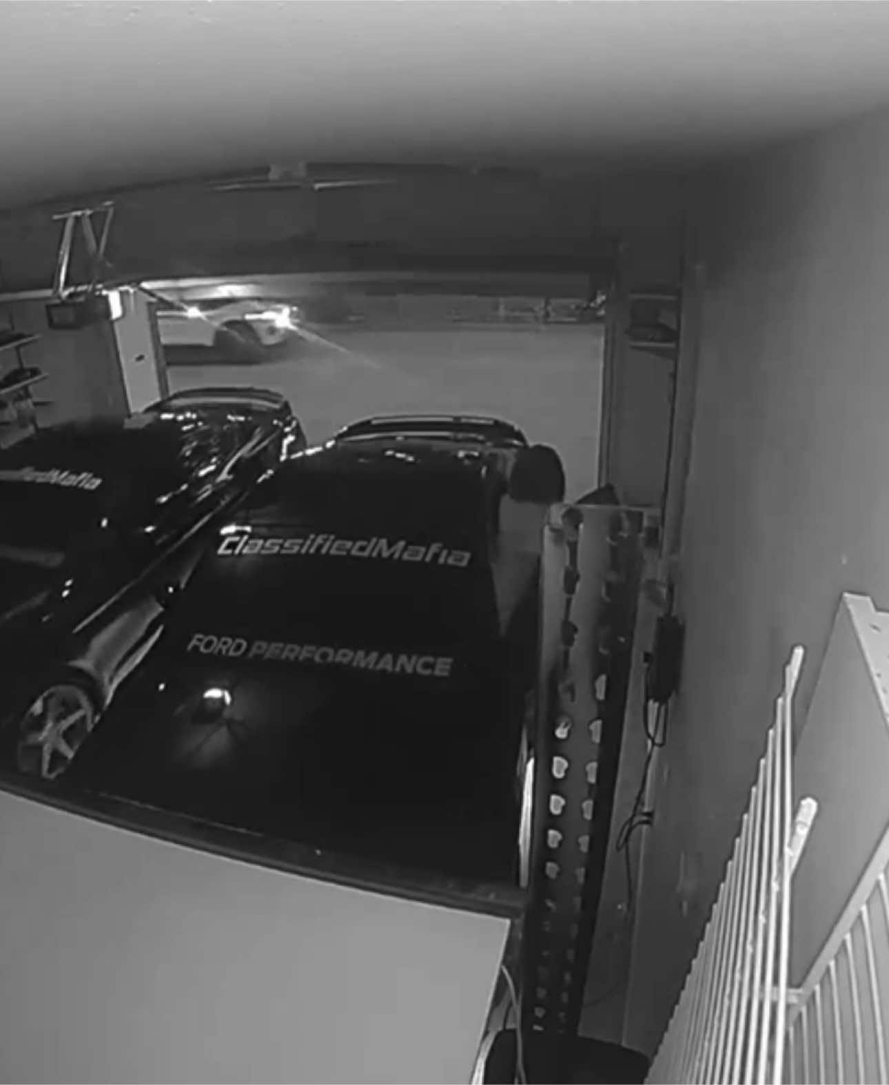 What You Think Happened Next ??? #mustangs #ClassifiedMafia #ford #viralvideo #viraltiktok #viralvideos 