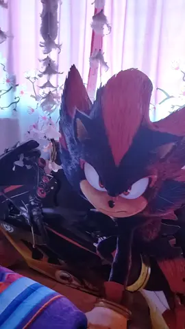 me dieron la idea v: jaja  #sega #videojuegos🎮 #shadowthehedgehog #sonic 