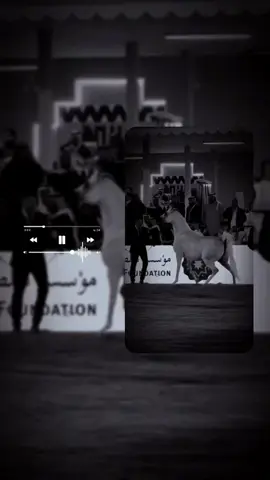 ميلي على الساحه#قناة #بندر #العتيبي #هشتاقاتي_الترند_المشهور #لايك_متابعه_اكسبلور #هشتاك_تيك_توك #طرررب🎻🎼 