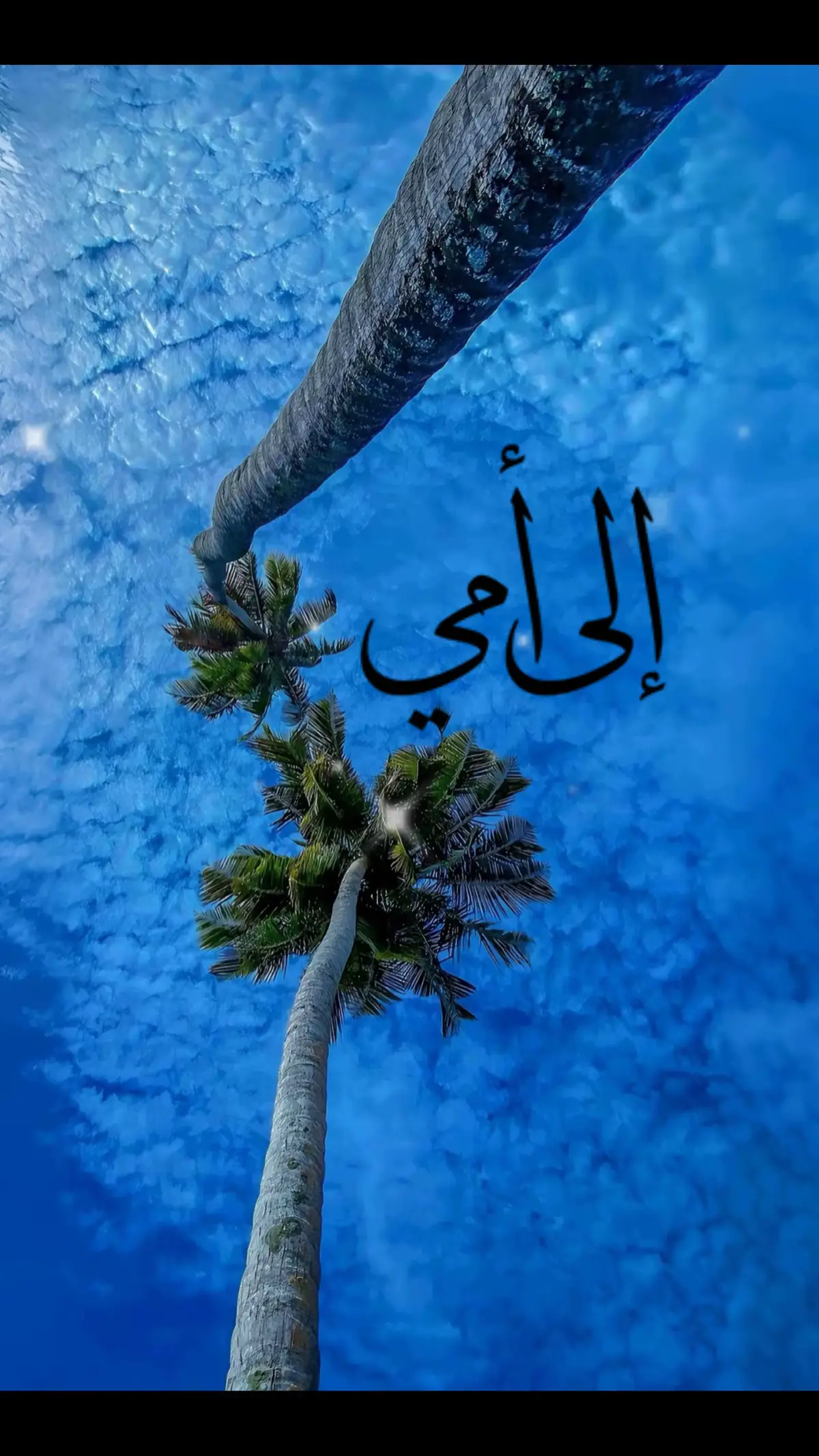 إلى أمي #امي_جنة #الله_لا_يحرمني_من_وجودك_بحياتي  #امين_يارب #quran #fyp  #كلام_جميل #كلام_عن_امي #الله_يخليلي_ياك #امي_جنه  #foryou #fyp #viralvideo #viral #tiktok  @🇩🇿Momo 02 dzz🇩🇿 