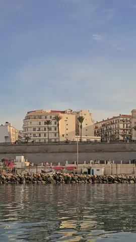 Alger 💚🎬