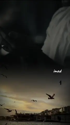 #دعاء_يريح_القلوب #مصطفى_حسني #اللهم_صل_وسلم_على_نبينا_محمد #يارب #اللهم_امين_يارب_العالمين 