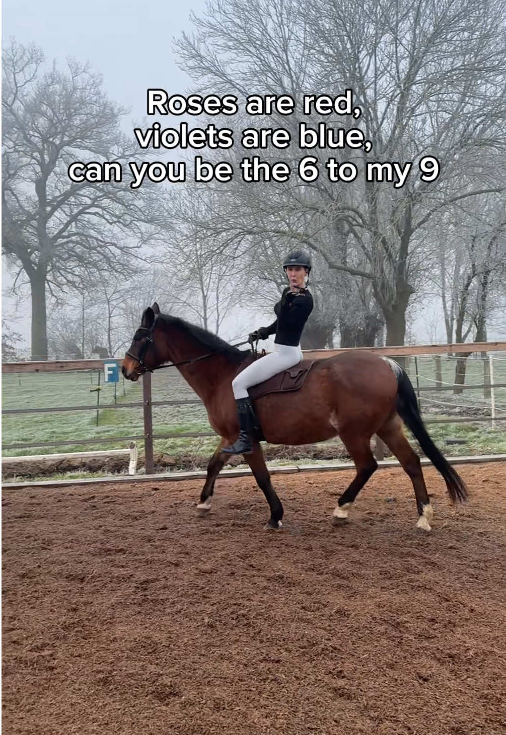 Any takers ? #country #horse #horsegirl #oregon #livinginoregon 