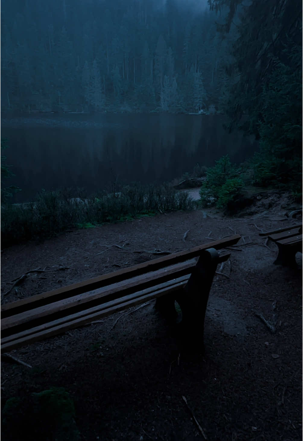 Peaceful Days #nature #darkaesthetic #calm #naturephotography #foryоu #aesthetic #relax 