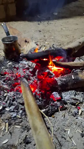 الكلب يبقه كلب مهما تربيه طبع النجاسه في خلايه عروقه #سوهاج_قنا_اسيوط_اسوان_المنيا_الاقصر #الشعب_الصيني_ماله_حل😂😂 #سيناء_بدوسيناء_بدومصر_بدومطروح 