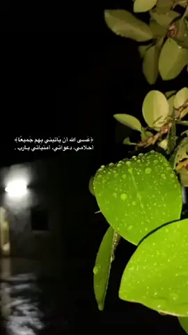 ﴿عَسى الله أن يَأتيني بِهم جَميعًا﴾ أحلامي، دعواتي، أمنياتي يـارب 🤎.#fypage #fyp #fypシ #خواطر #اكسبلور #عبارات #خواطر077 #درر #كلمات #InspirationByWords #يارب #مطر #ليل 