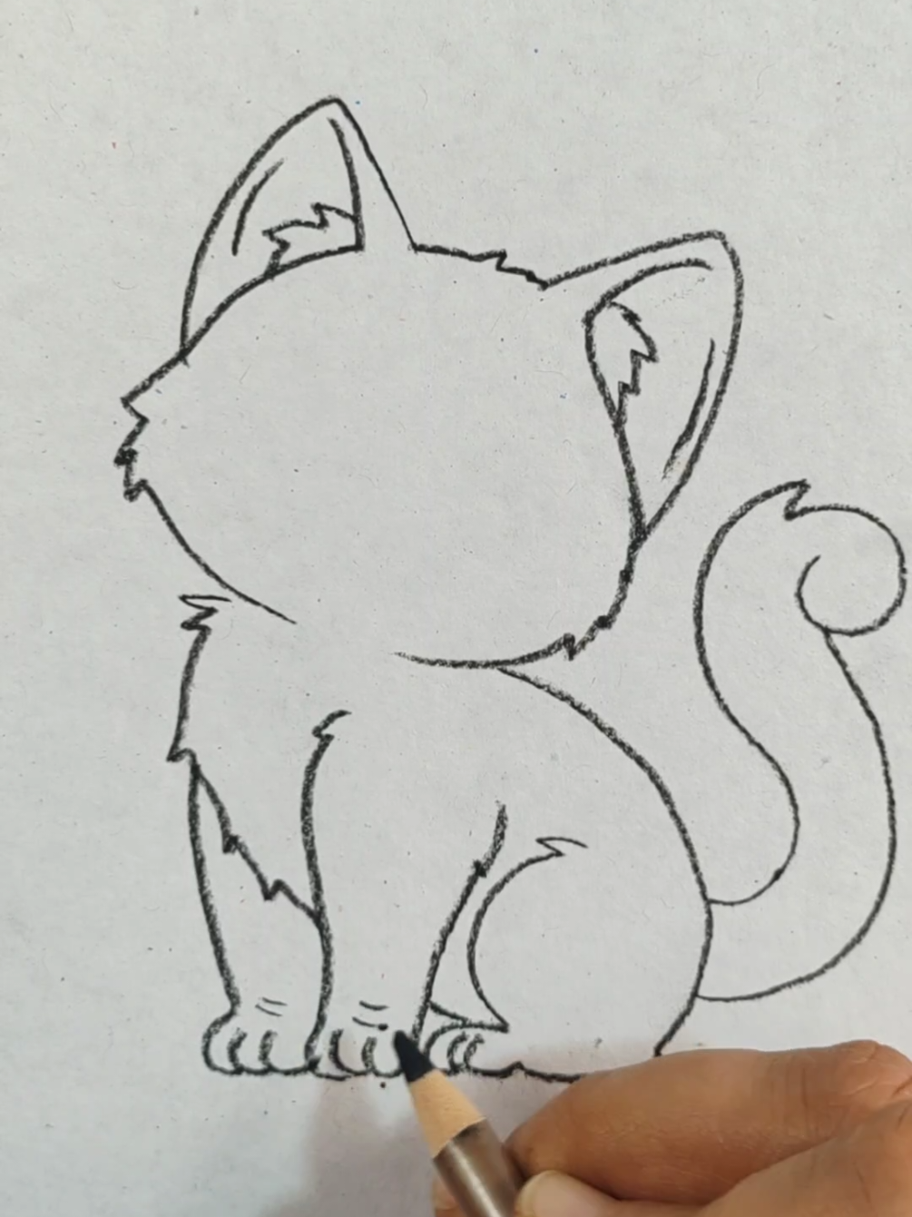 Beautiful drawing cat easy #drawing #art #fun_drawings #sketch #drawings #animal #رسمتي #تعلم_الرسم #متعة_الرسم #رسم_بالرصاص 
