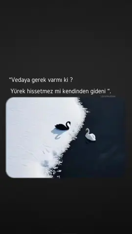 #CapCut #keşfetteyizzz #storytime #sword #CapCut #keşfetteyizzz 