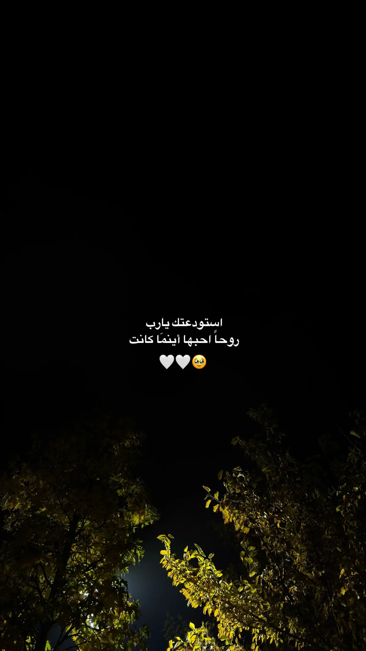 يارب 🤍#❤️ #استودعتك_الله #اشتياق #💔🥀 #pov #fypp #fy 