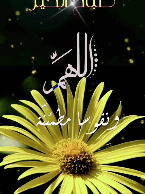 #صباح_الخير #صباحكم_أحلى_صباح #اسعد_الله_جميع_اوقاتكم🌹🌹 #دعاء_الصباح #دعاء #يوم #جديد #اللهم_امين #حالات_واتس #foryoupage #fyp #viral #ArabTikTok #g @Symba 