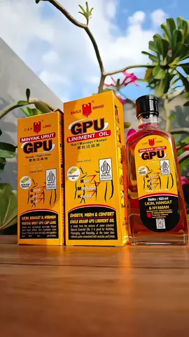 Minyak urut GPU, solusi badan capek pegal-pegal, cukup gosok pakai ini bosku #gpu #minyakurutgpu #pegalpegal #kesleo #fyp 