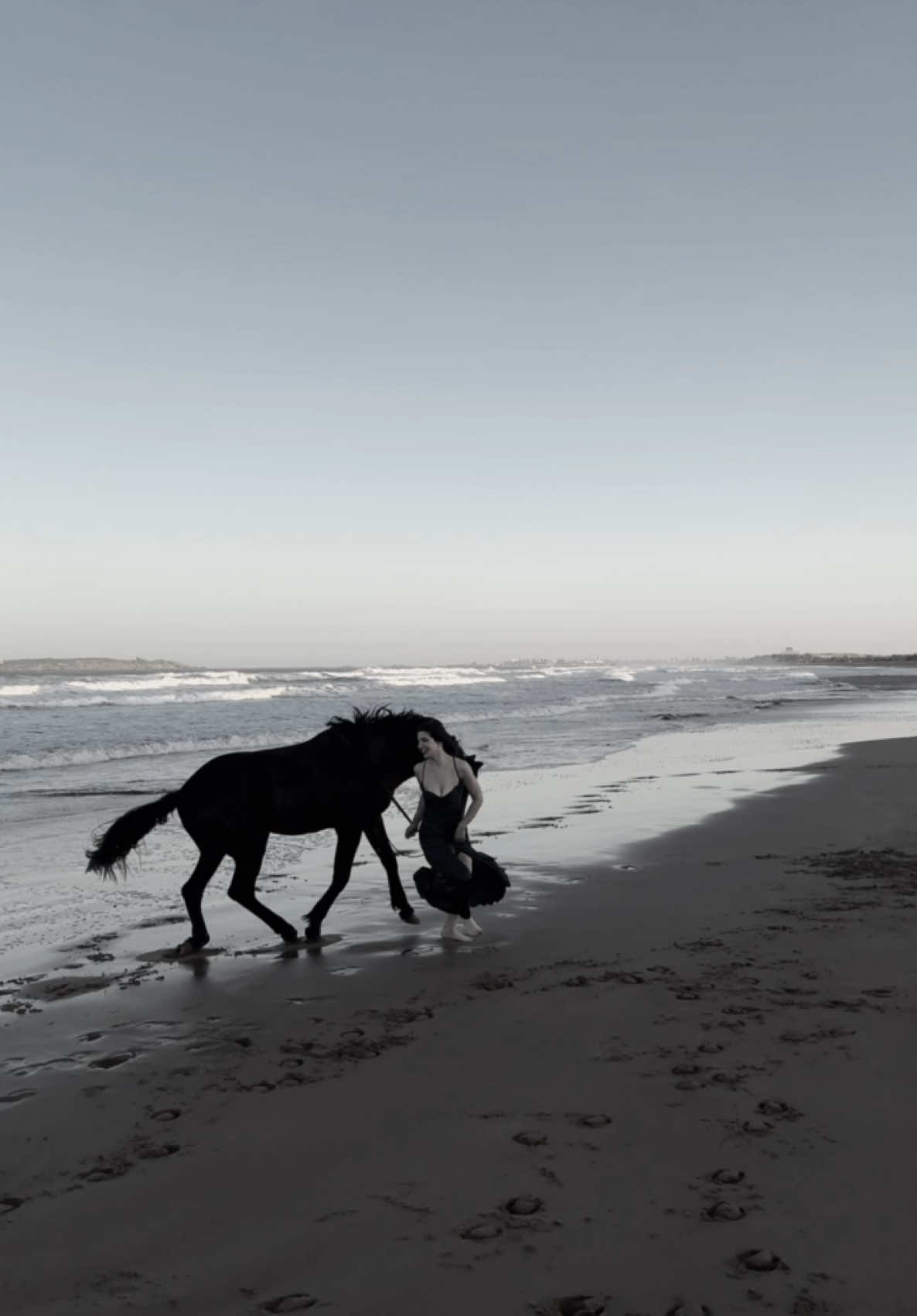 Let play  #horseoftiktok #traveltiktok #morocco🇲🇦 #marrakech #foruyou #fyp 